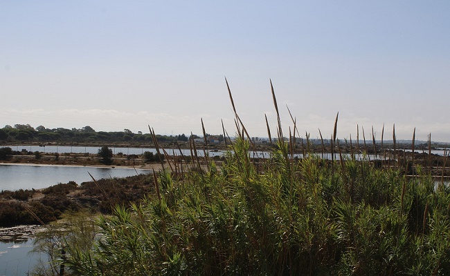 Día Mundial de los Humedales