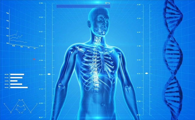 Osteopenia.